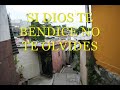 Colonia Las Palmas, San Salvador El Salvador.