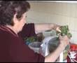 Nonna-Stella-Lezione