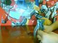 videos de review of animated swoop