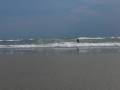 videos de Ocean Waves