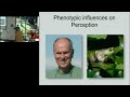Human Perception Viewed as a Phenotypic Expression