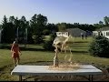 Mentos - Diet Coke Competition