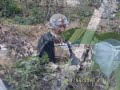 DARICABASI TAMZARA