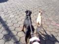 Stacy e Kiara