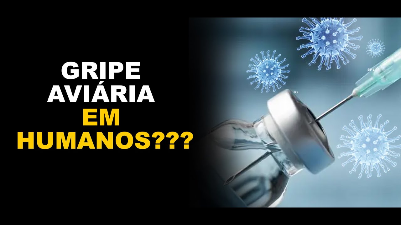 Gripe Aviária Em Humanos???
