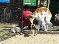 ２月１２日その２