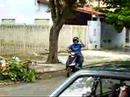 gutim 2007