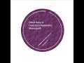 Monosynth - David Keno