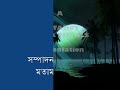 Shahria Kabir talks about \