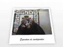 150e anniversaire - Exposition de courtepointes