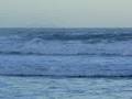 Toninhas(Surfando)