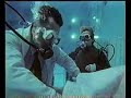 hale-and-pace-underwater-birth-tortoise-blowing-sketch-.html