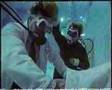 Hale and Pace 'Underwater Birth' & 'Tortoise Blowing' sketch