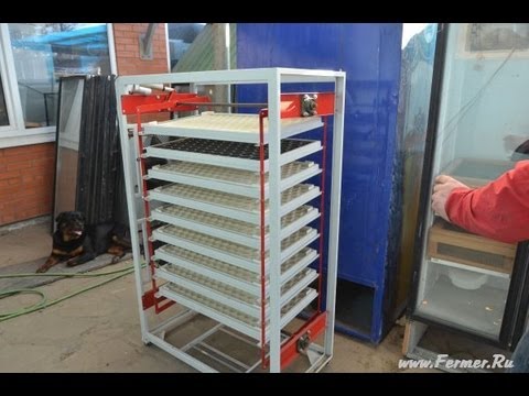 Инкубатор для кур видео