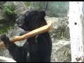 クラウド