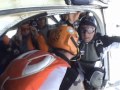 suite des jeux freefly suite des jeux freefly