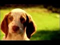 Funny Videos/ Creative Ads Collection Part 7