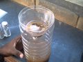 Bio sand filter - Using a 2 litre PET bottle (before SODIS)