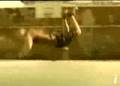 Sprite basketball pool