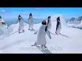 hayvanlar.html