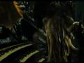 videos de Cursed Captains ~ Davy Jones/Will Turner