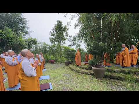 Tinh Hoa NIKAYA - Niềm Vui Thanh Cao