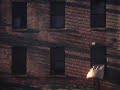 The Window