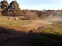 HPI Baja 5b