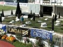 Christchurch Show Week Christchurch Show Week