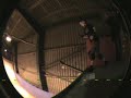Reiss Johnson - Blackpool Vert