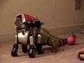 AIBO K-9 vs. Thunder Lizard!