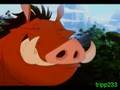 The Lion King: THIS VIDEO WILL BE FLAGGED!!