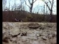 SCX10 AXIAL PRIMO TEST FANGO