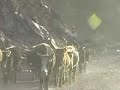 Silk Road Xinjiang-4WD Narat to Bayinbulak ???????????