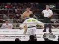 MIRKO CROCOP MMA HIGHLIGHT VIDEO