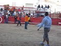 ToMa-PiLlada