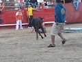 ToMa-PiLlada