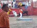 ToMa-PiLlada