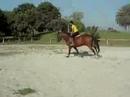 Napo and Hofit