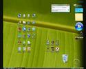 About the snipping tool that comes...