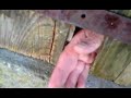 Vieille Porte Bois Trou Main Prison Sortir SOS Projestes Vieille Porte Bois Trou Main Prison Sortir SOS Projestes