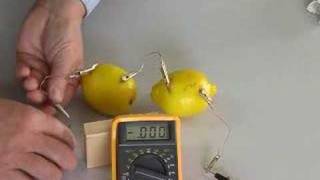 Create a Lemon Battery