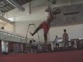 Martial Arts Kicks, Flips and Acrobatics.