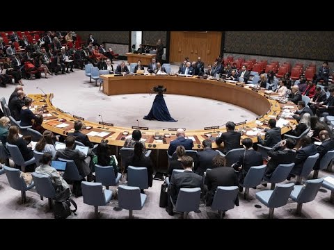 UN-Sicherheitsrat: USA blockieren UN-Vollmitgliedschaft Palstinas, die Schweiz & Grossbritannien enthalten sich