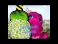 ไม่เคยจะห่างกัน - วิน sqweez animal (To Nuttaporn)