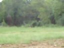Shooting my Sig 22
