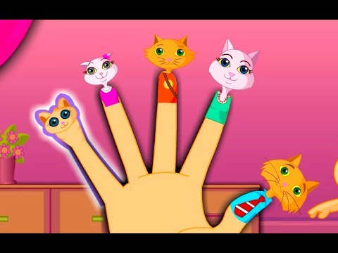 The Finger Family Cat Family Nursery Rhyme | Kids Animation Rhymes Songs