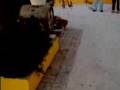 videos de dois spitz da pomerania a brinkar