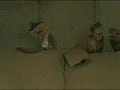Avenged Jeffold - Bat Country Avenged Jeffold - Bat Country