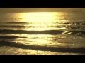 GORKA YARRITU QUIKSILVER SURF ESKOLA